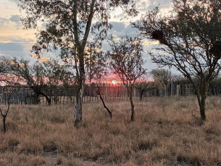 Campo en Venta en La Paz, Mendoza