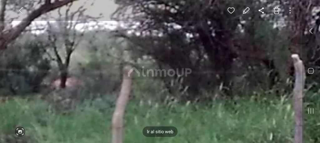 Campo en Venta en La Paz, Mendoza