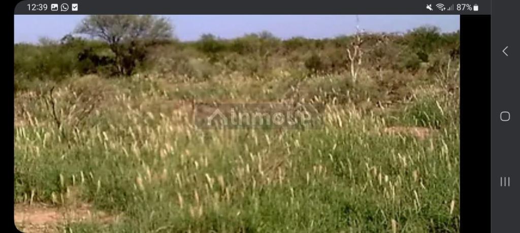 Campo en Venta en La Paz, Mendoza