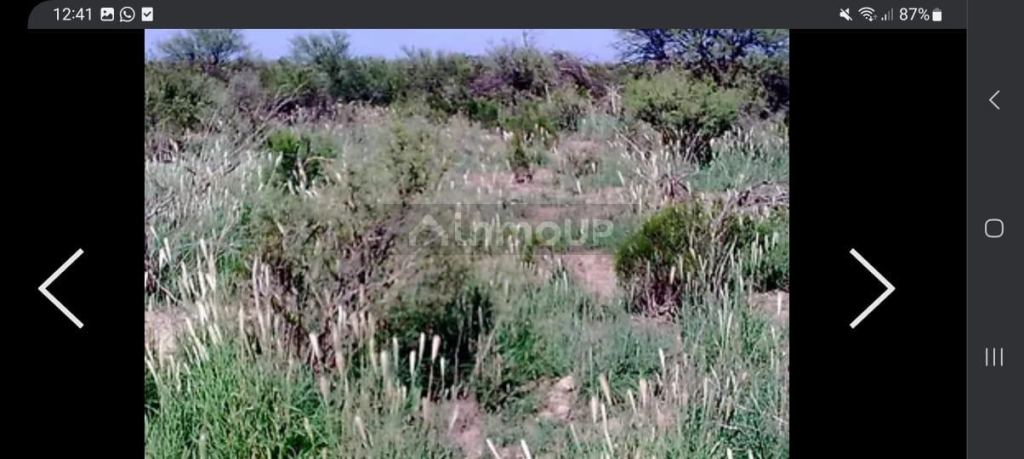 Campo en Venta en La Paz, Mendoza
