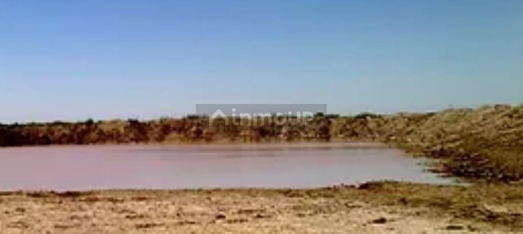 Campo en Venta en La Paz, Mendoza