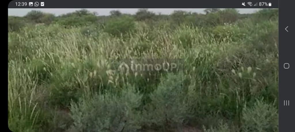 Campo en Venta en La Paz, Mendoza