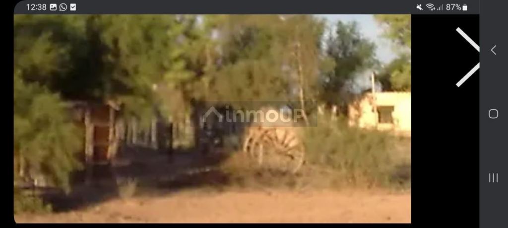 Campo en Venta en La Paz, Mendoza