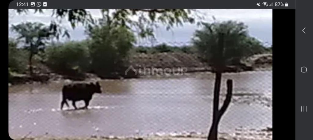 Campo en Venta en La Paz, Mendoza