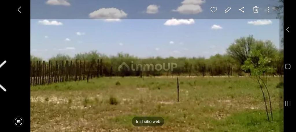 Campo en Venta en La Paz, Mendoza