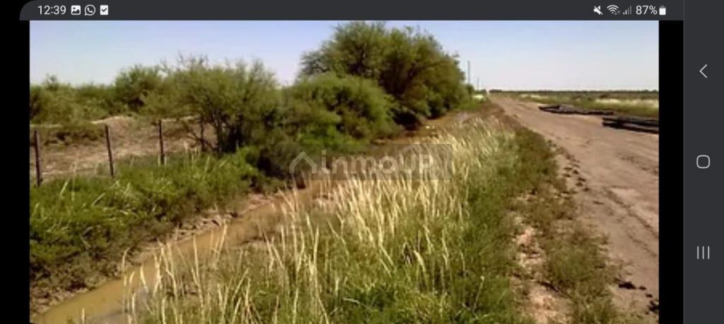 Campo en Venta en La Paz, Mendoza