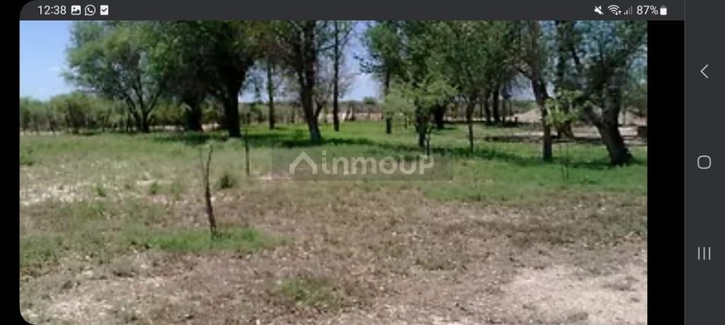 Campo en Venta en La Paz, Mendoza