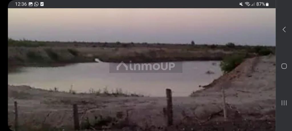 Campo en Venta en La Paz, Mendoza