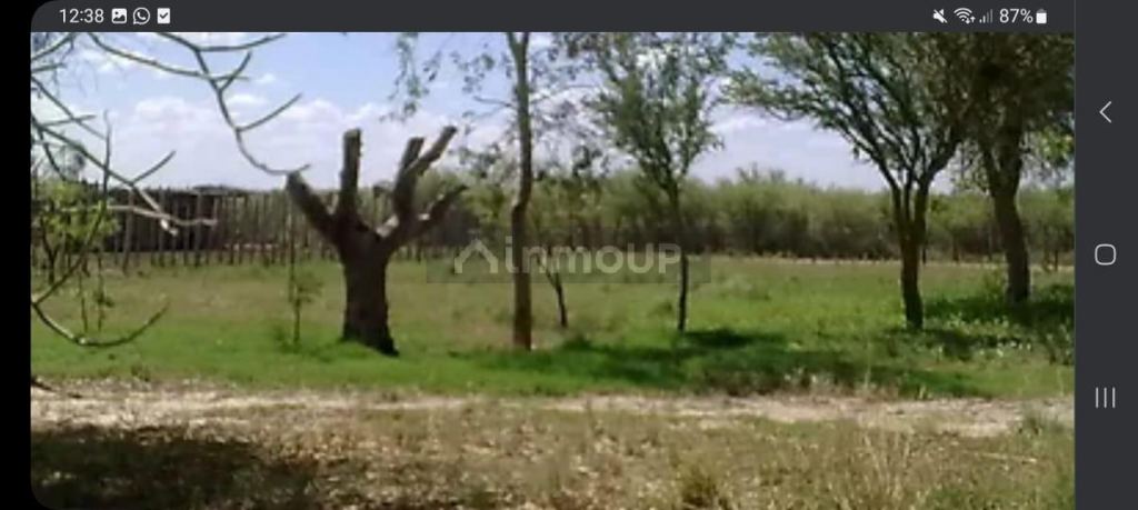 Campo en Venta en La Paz, Mendoza