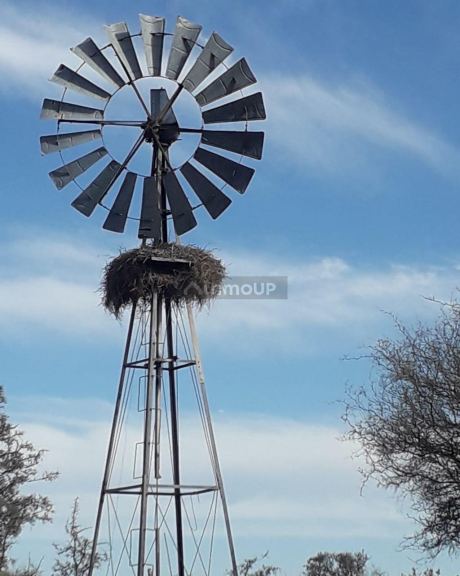 Campo en Venta en La Paz, Mendoza