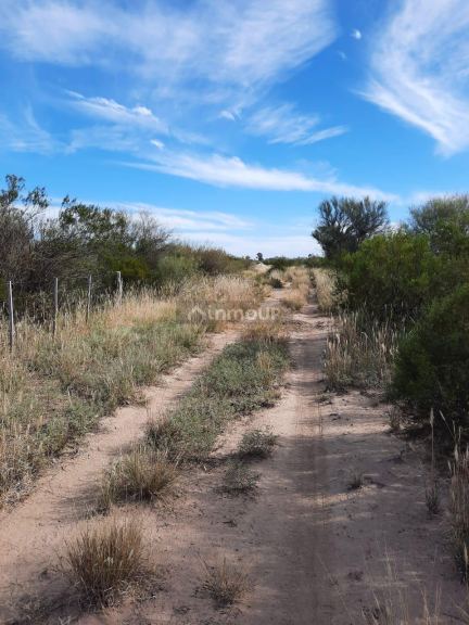 Campo en Venta en La Paz, Mendoza