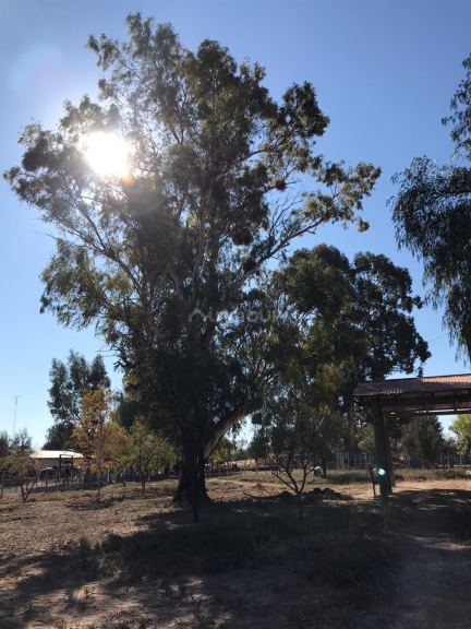 Campo en Venta en La Paz, Mendoza