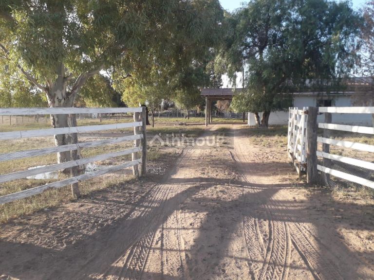 Campo en Venta en La Paz, Mendoza
