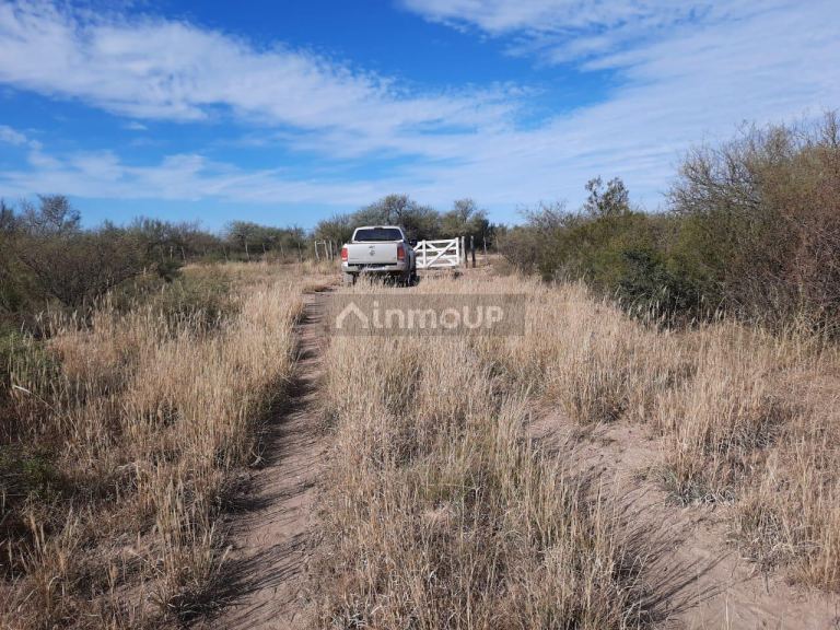 Campo en Venta en La Paz, Mendoza
