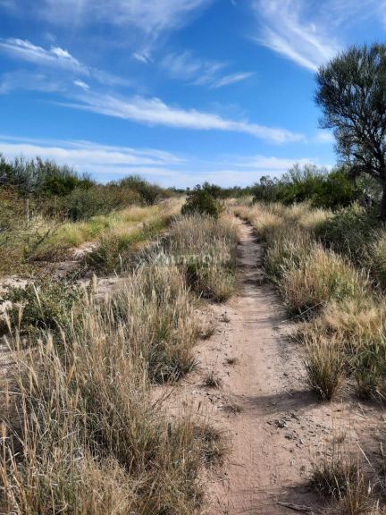 Campo en Venta en La Paz, Mendoza