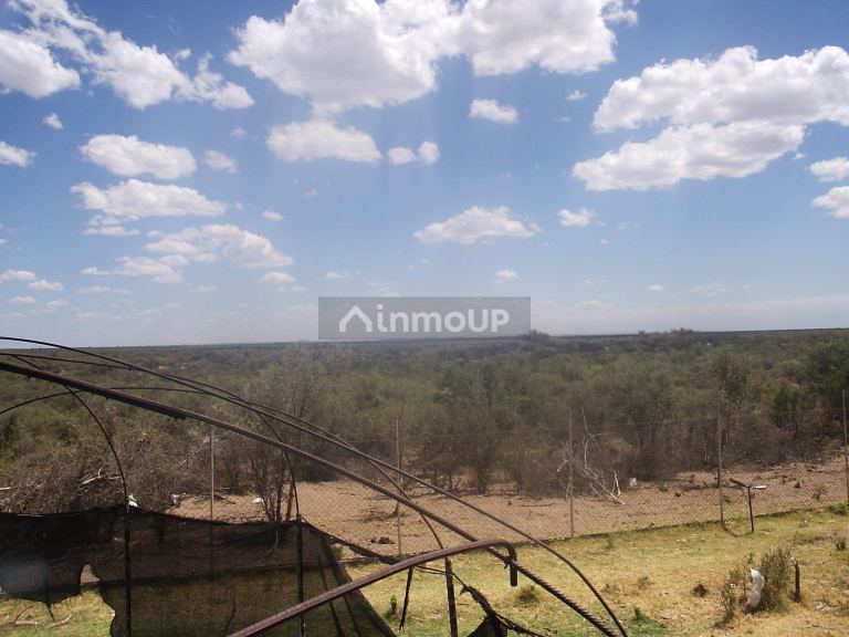 Campo en Venta en Santa Rosa, Mendoza