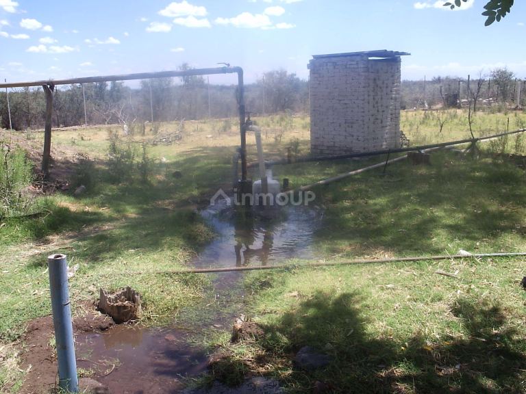 Campo en Venta en Santa Rosa, Mendoza