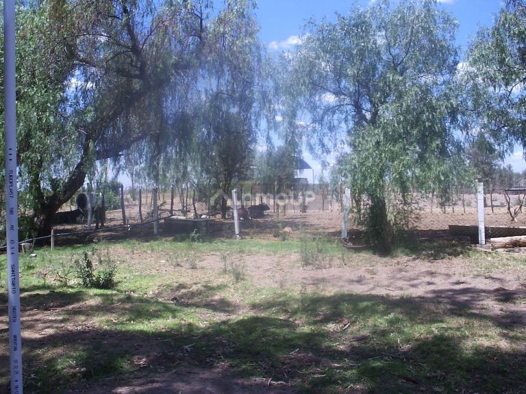 Campo en Venta en Santa Rosa, Mendoza