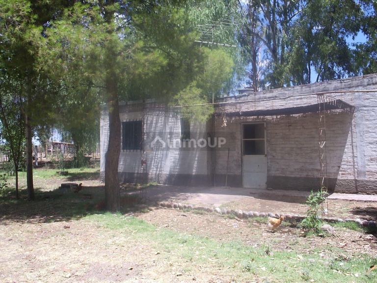 Campo en Venta en Santa Rosa, Mendoza