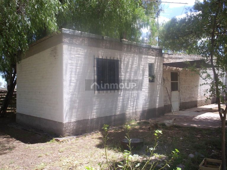 Campo en Venta en Santa Rosa, Mendoza