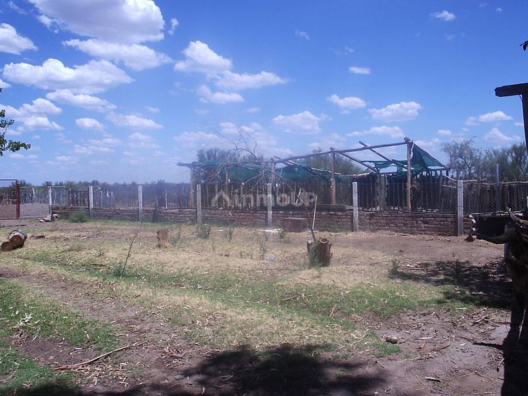 Campo en Venta en Santa Rosa, Mendoza