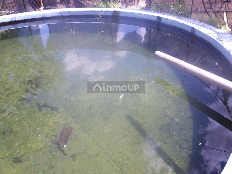 Campo en Venta en Santa Rosa, Mendoza