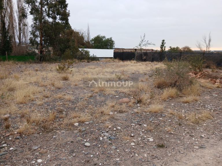 Terreno en Venta en Lujan de Cuyo, Mendoza