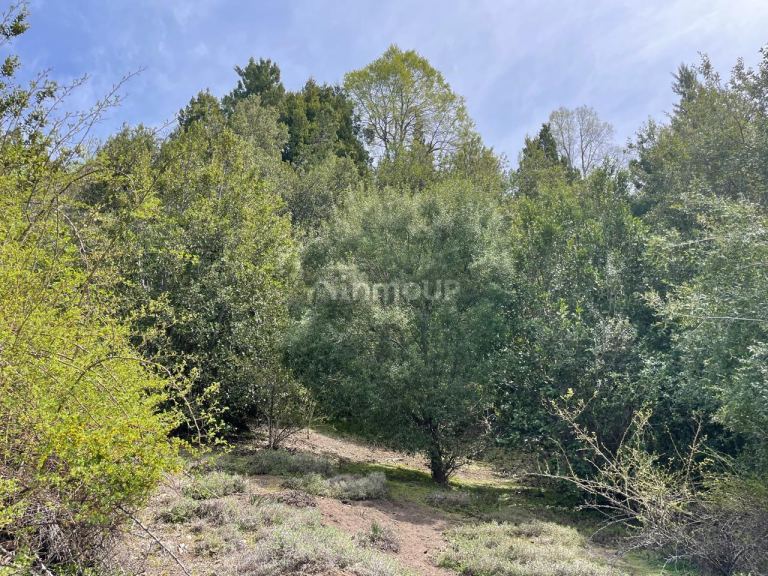 Terreno en Venta en Lacar, Neuquen