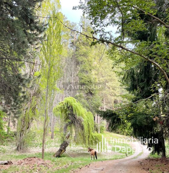 Terreno en Venta en Lacar, Neuquen
