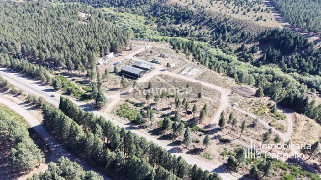 Galpon en Venta en Lacar, Neuquen