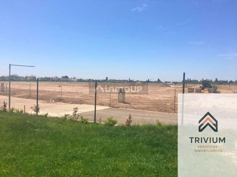 Terreno en Venta en Maipu, Mendoza