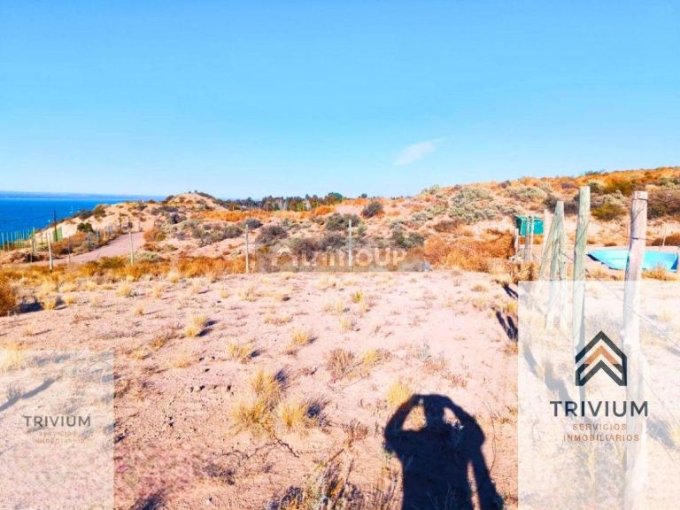 Terreno en Venta en Lujan de Cuyo, Mendoza