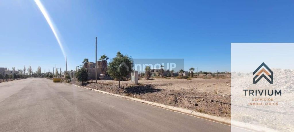 Terreno en Venta en Maipu, Mendoza