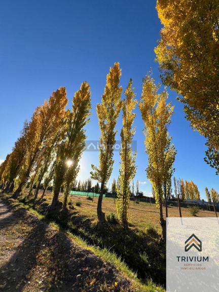 Terreno en Venta en Maipu, Mendoza