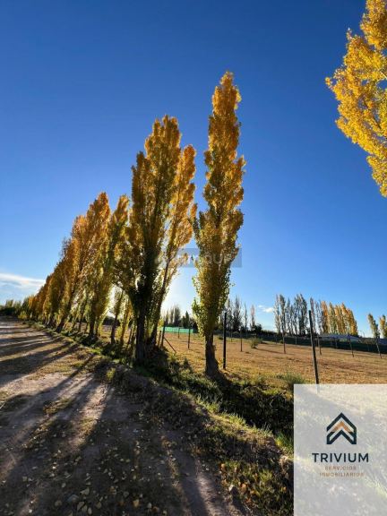 Terreno en Venta en Maipu, Mendoza