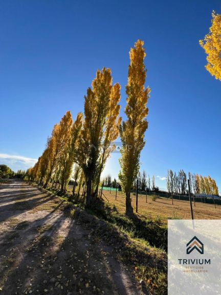 Terreno en Venta en Maipu, Mendoza