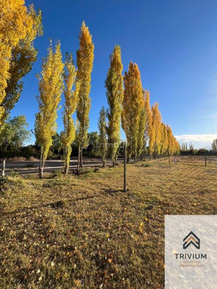 Terreno en Venta en Maipu, Mendoza