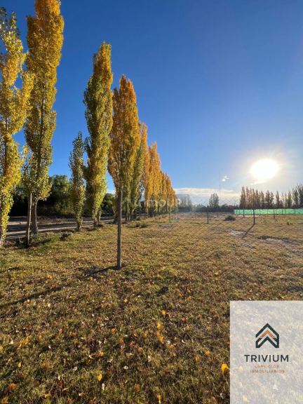 Terreno en Venta en Maipu, Mendoza