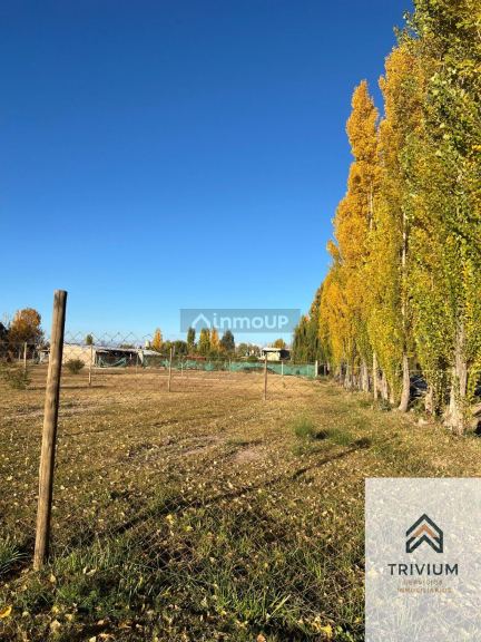 Terreno en Venta en Maipu, Mendoza