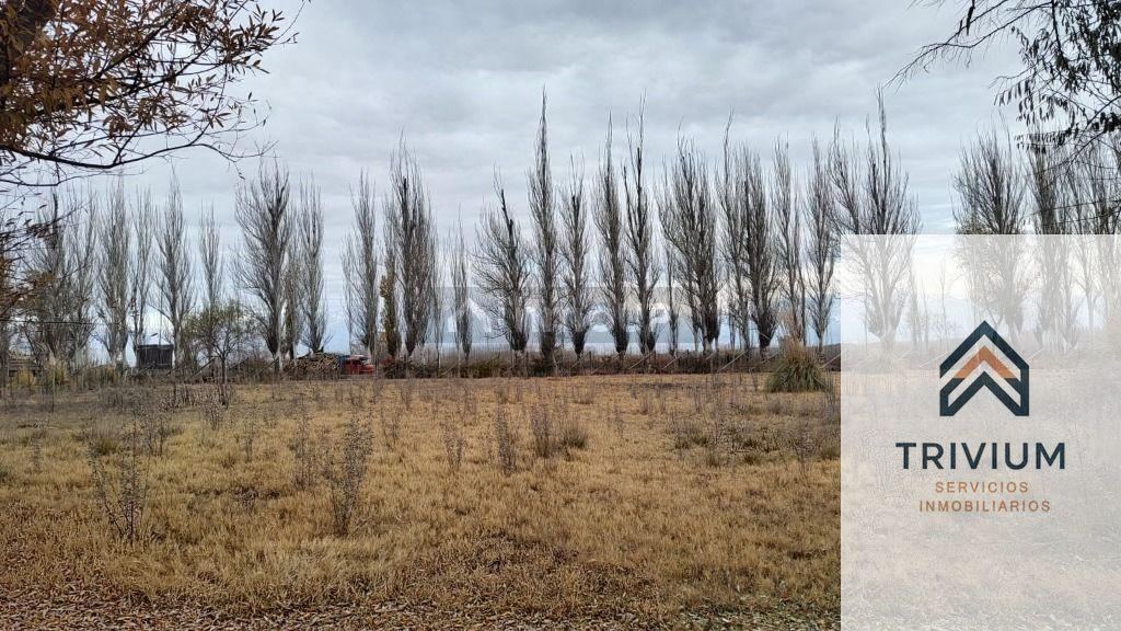 Terreno en Venta en San Carlos, Mendoza