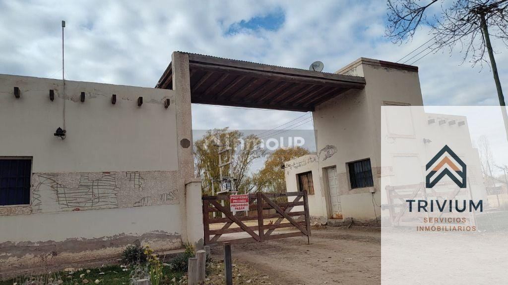 Terreno en Venta en San Carlos, Mendoza