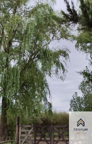 Terreno en Venta en Tunuyan, Mendoza