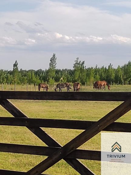 Terreno en Venta en Tunuyan, Mendoza