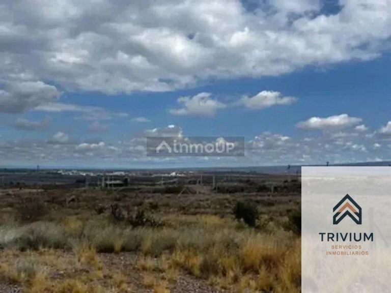 Terreno en Venta en Lujan de Cuyo, Mendoza