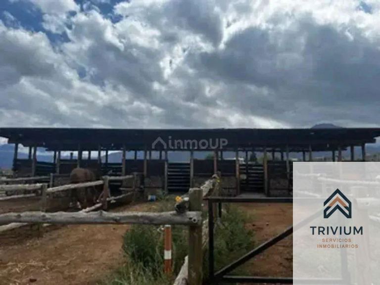 Terreno en Venta en Lujan de Cuyo, Mendoza