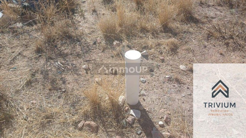 Terreno en Venta en Lujan de Cuyo, Mendoza