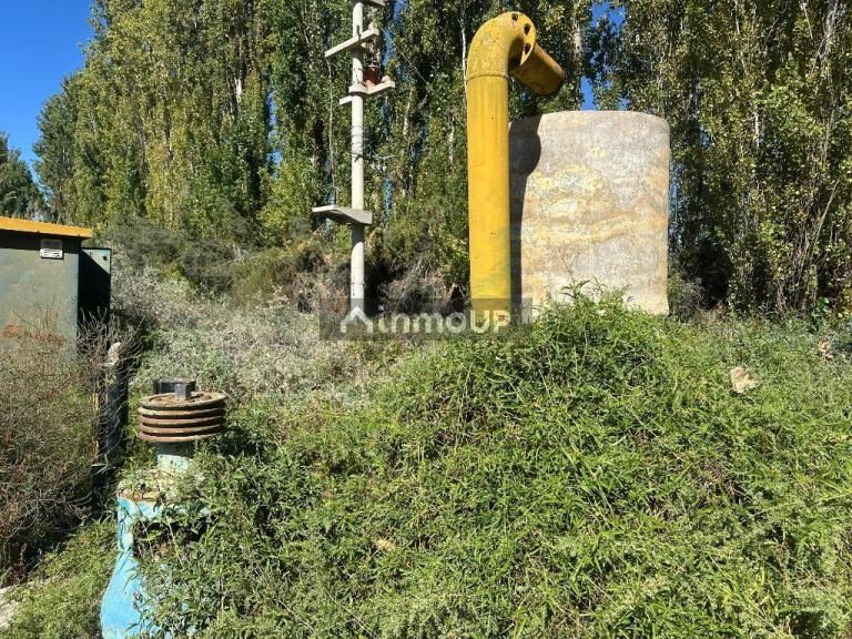 Finca en Venta en Lavalle, Mendoza