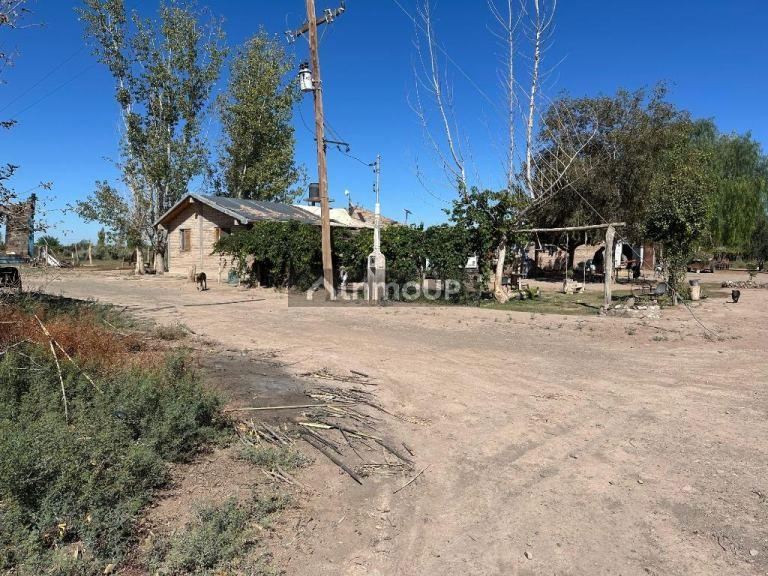 Finca en Venta en Lavalle, Mendoza