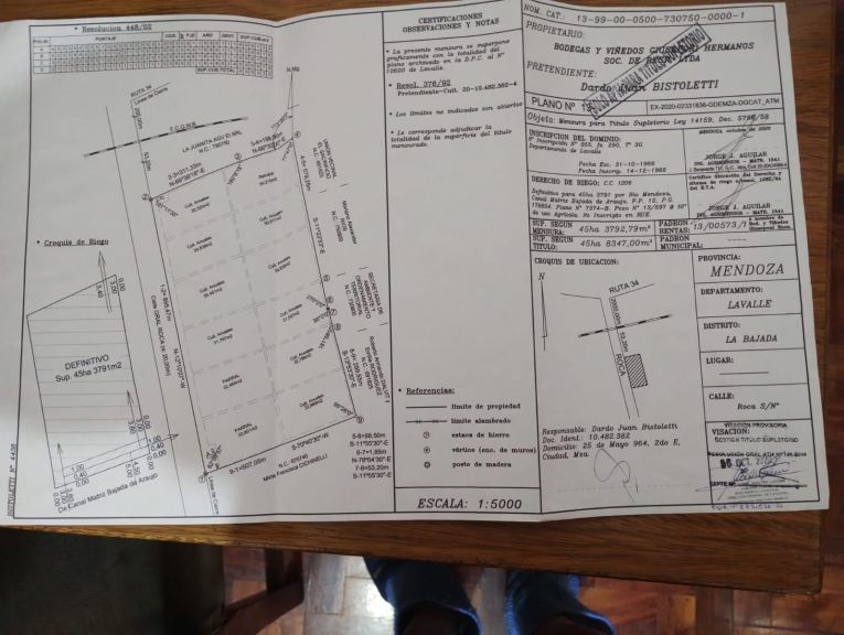 Finca en Venta en Lavalle, Mendoza