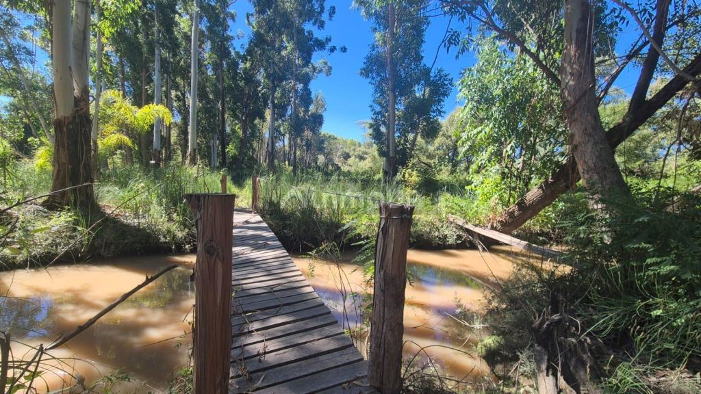 Terreno en Venta en Tigre, G.B.A. Zona Norte